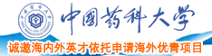 高清码免费中国药科大学诚邀海内外英才依托申请海外优青项目